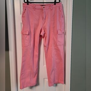 Judy Blue, 20W, Pink Cargo Pants